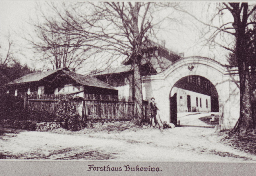 Hájovna na Bukovině